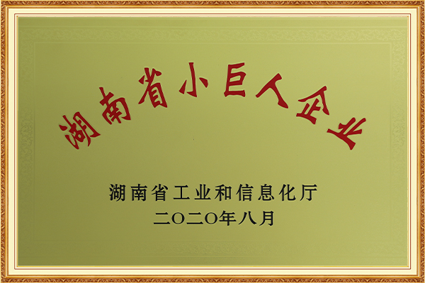 湖南省小巨人企業2020年8月