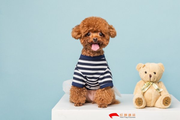 疫情期間香港商品如何轉(zhuǎn)運到河南商丘呢？